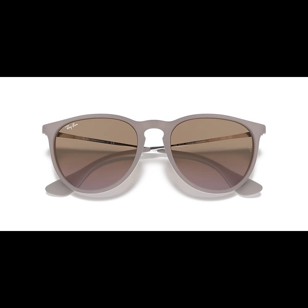 Ray-Ban Erica Classic Sunglasses